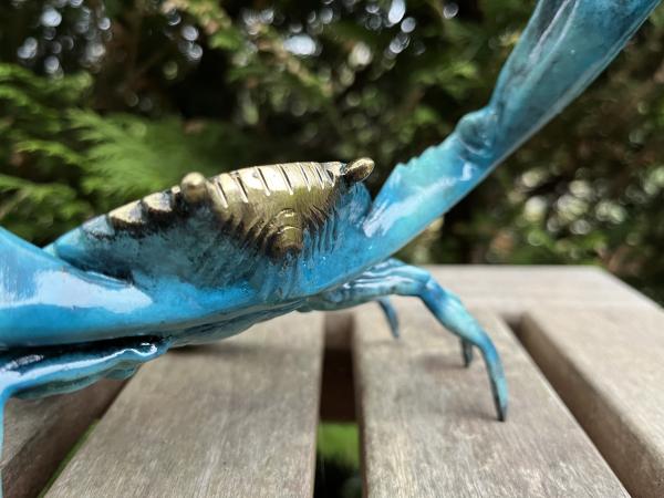 KRABBE bronze blau